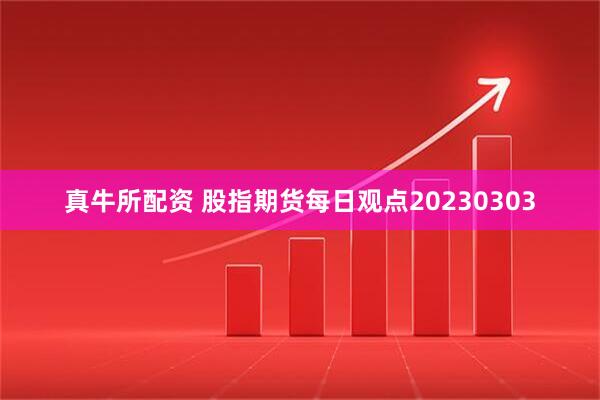 真牛所配资 股指期货每日观点20230303