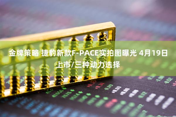 金牌策略 捷豹新款F-PACE实拍图曝光 4月19日上市/三种动力选择