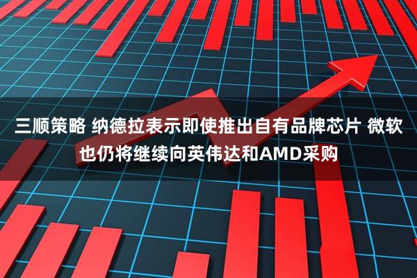 三顺策略 纳德拉表示即使推出自有品牌芯片 微软也仍将继续向英伟达和AMD采购